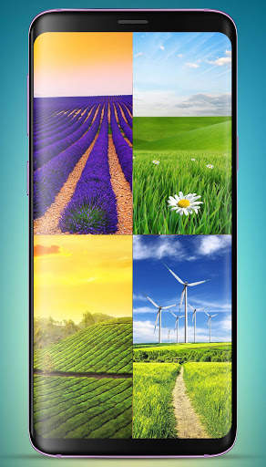 Agriculture Wallpaper HD screenshot 2