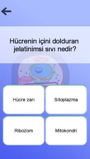 Anatomi Oyunu screenshot 7
