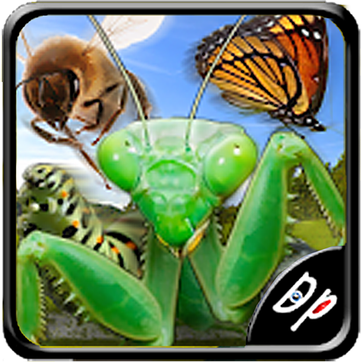 ikon Insect Race