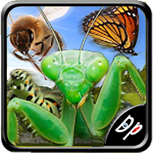 Insect Race 7.0