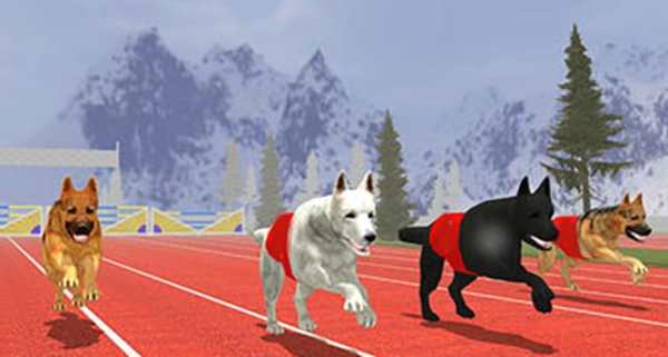 Angry Dogs Racing 2019 screenshot 2