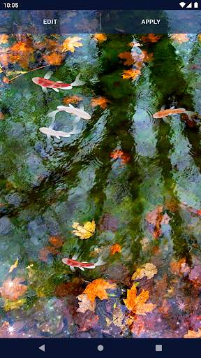 Fish 4K HD Koi Live Pond 3D screenshot 5
