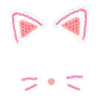 Cat Face Photo Editor