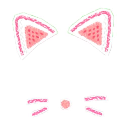 Cat Face Photo Editor 1.0.0