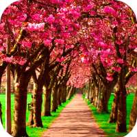 Spring Wallpaper HD logo