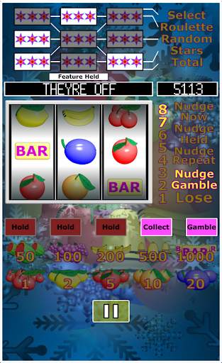 Slot Machine. Casino Slots. screenshot 7