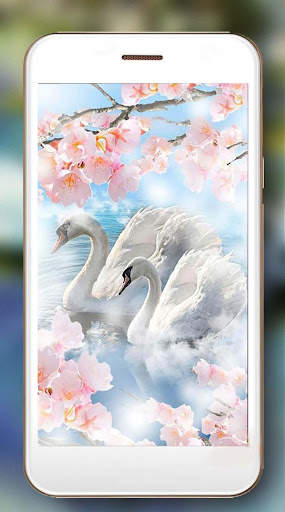 Swans Live Wallpaper screenshot 2