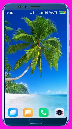 Palm Tree Wallpaper screenshot 2