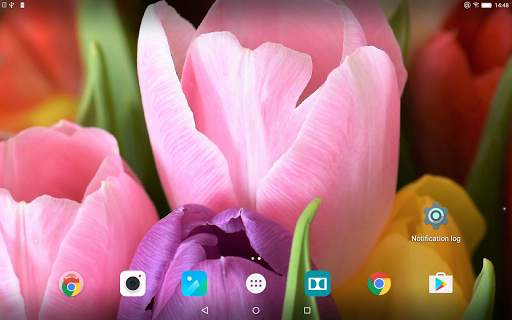 Tulips Live Wallpaper screenshot 9