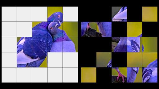 Birds Jigsaw Puzzle   LWP screenshot 3
