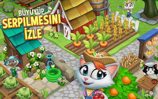 Kitty City screenshot 3