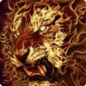 3D Flaming lion live wallpaper 6.0