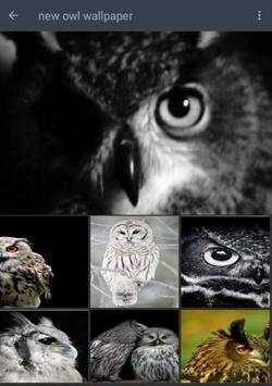 Cool Owl Wallpaper скриншот 4