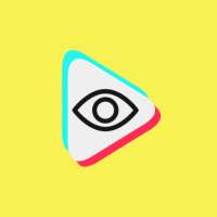 Private TT Viewer: View Hidden TT Profiles logo