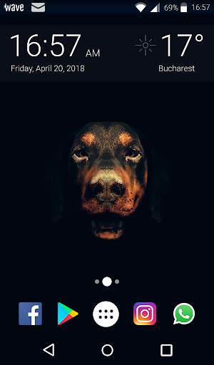 Dog Animated Keyboard   Live Wallpaper screenshot 6