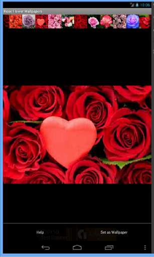 Rose Flowers Wallpaper screenshot 5