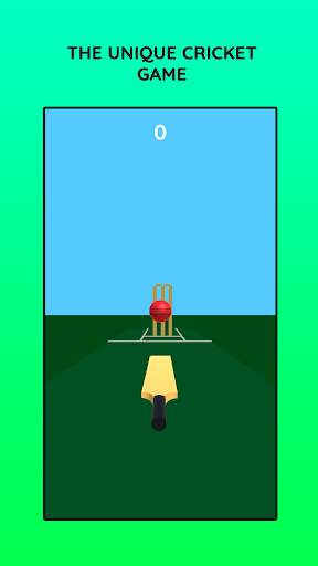 Tic Tok Cricket screenshot 3