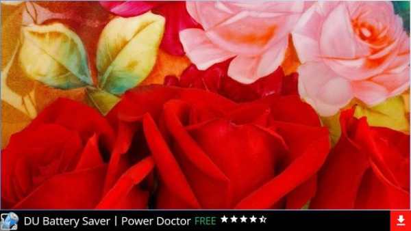 Free Flowers Wallpapers screenshot 1