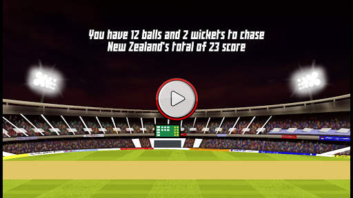 Cricket World Cup screenshot 5
