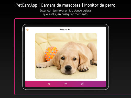 PetCam App - Monitor de Perro screenshot 3