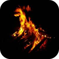 Bonfire 4K Video Wallpaper