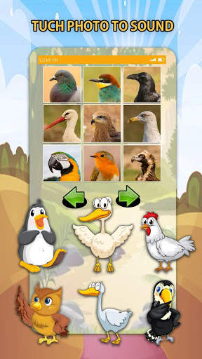 Bird Sounds screenshot 2