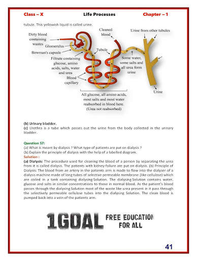 Biology class 10 Lakhmir Singh Solutions 3 تصوير الشاشة