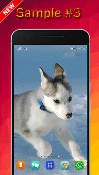 Dog Wallpaper screenshot 3