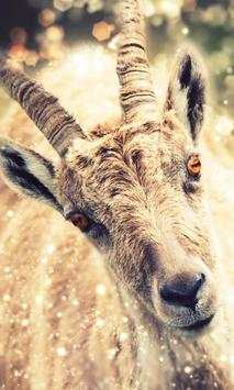 Funny goat live wallpaper screenshot 3