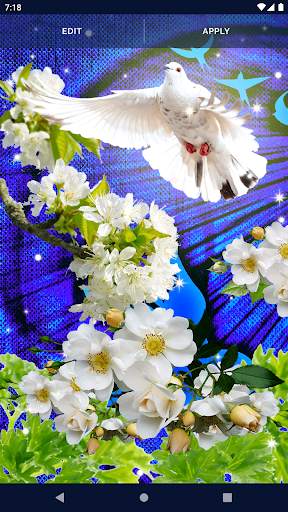 Dove Romantic Live Wallpaper screenshot 7