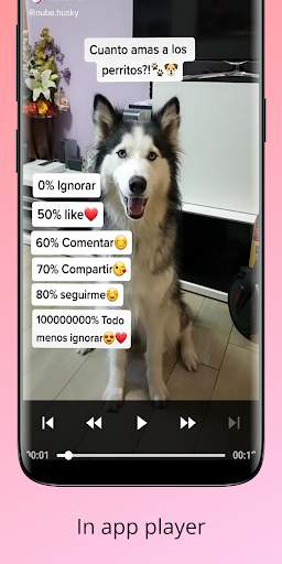 Download videos for Instagram, Facebook and TikTok screenshot 4