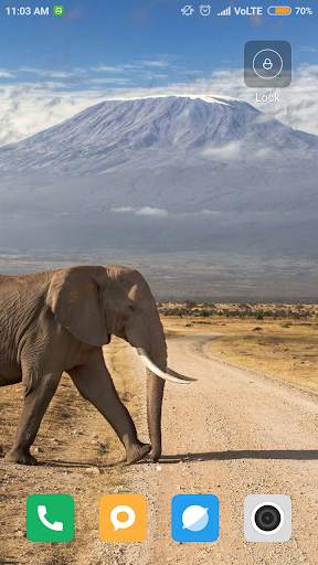 Elephant Wallpaper screenshot 13