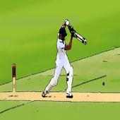 Cricket Scorecard