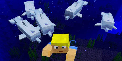 Dolphin Mod for Minecraft screenshot 1