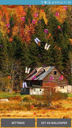 Autumn Live Wallpaper screenshot 5