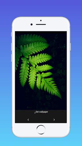 Pixel 4D 2021 screenshot 2