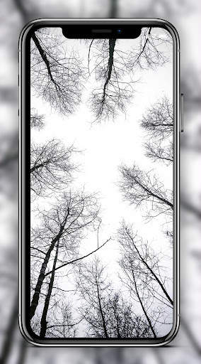 Black and White Wallpaper screenshot 5