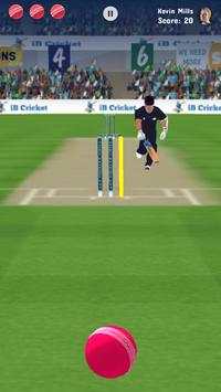 iB Cricket Companion screenshot 6