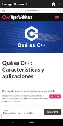 Haxagin Browser Pro screenshot 3