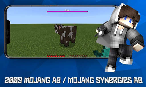 Mod Show HP screenshot 1