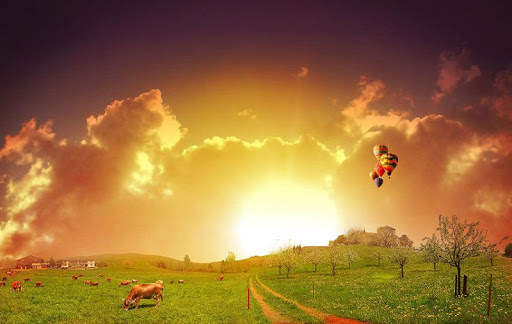 Nature Live Wallpaper screenshot 7