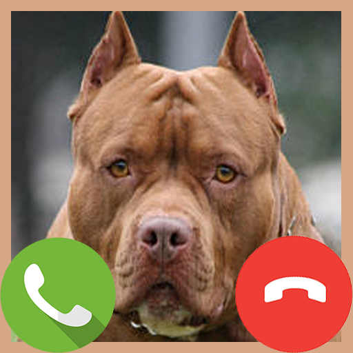 Fake Call Pitbull Game icon