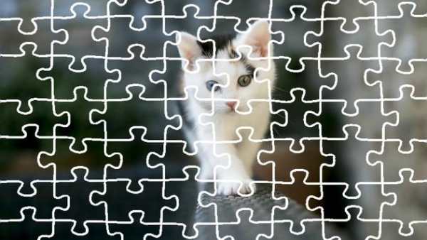 Cat Jigsaw Puzzle King screenshot 1