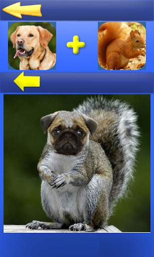 Morph Hybrid Animals 2 تصوير الشاشة