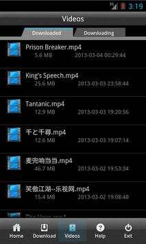 VideoGetter-lite screenshot 2