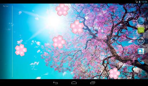 Japanese Sakura Garden Video Wallpapers Gallery screenshot 5