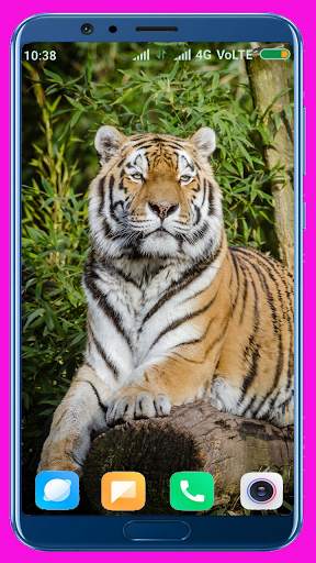 Tiger Wallpaper Best 4K screenshot 7