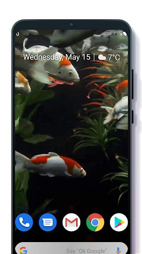 Koi Live Wallpaper screenshot 1