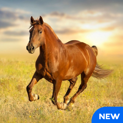 ikon Horse Sounds and Ringtones