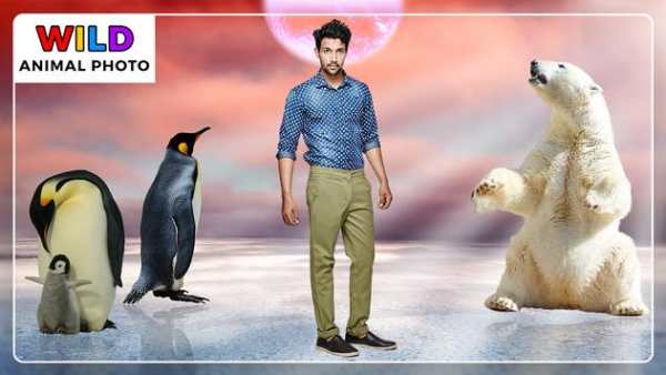Wild Animal Photo Frames - Photo Editor screenshot 2